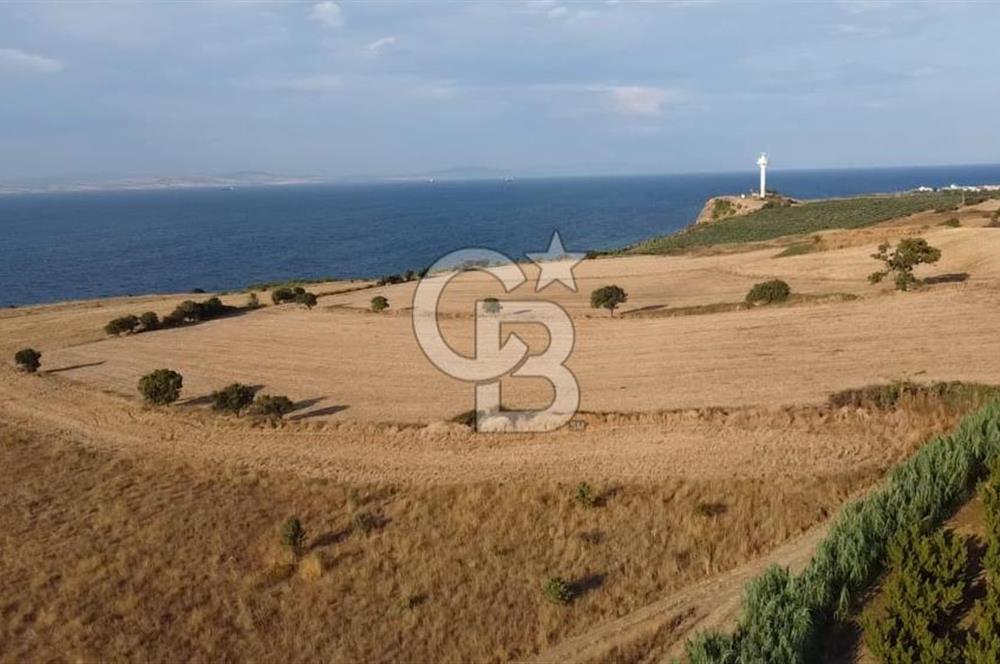 ÇANAKKALE LAPSEKİ ÇARDAK DOĞA VE DENİZ MANZARALI SATILIK ARSA