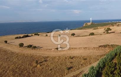 ÇANAKKALE LAPSEKİ ÇARDAK DOĞA VE DENİZ MANZARALI SATILIK ARSA