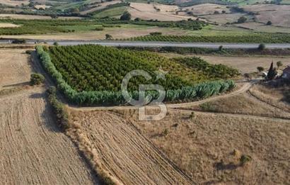 ÇANAKKALE LAPSEKİ ÇARDAK DOĞA VE DENİZ MANZARALI SATILIK ARSA