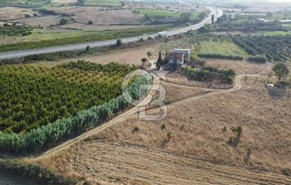 ÇANAKKALE LAPSEKİ ÇARDAK DOĞA VE DENİZ MANZARALI SATILIK ARSA