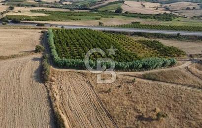 ÇANAKKALE LAPSEKİ ÇARDAK DOĞA VE DENİZ MANZARALI SATILIK ARSA