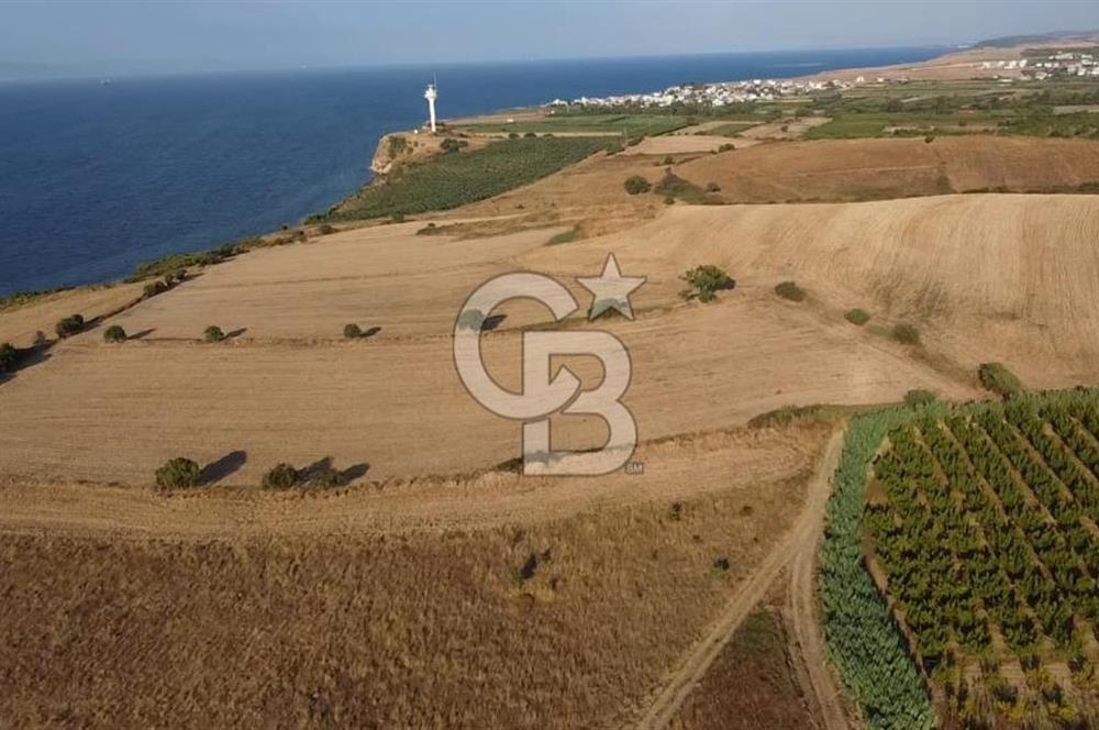 ÇANAKKALE LAPSEKİ ÇARDAK DOĞA VE DENİZ MANZARALI SATILIK ARSA