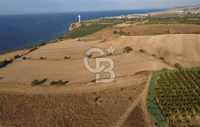 ÇANAKKALE LAPSEKİ ÇARDAK DOĞA VE DENİZ MANZARALI SATILIK ARSA