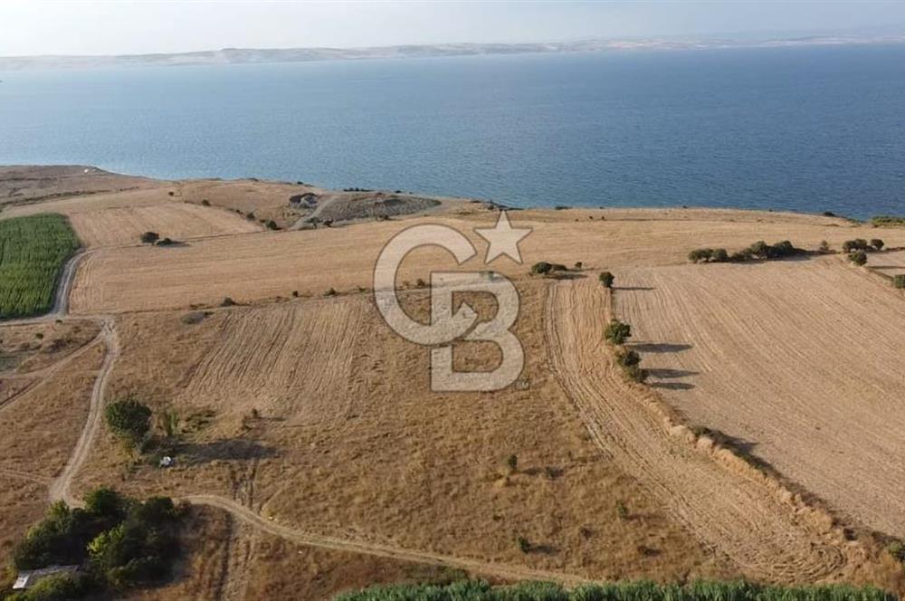 ÇANAKKALE LAPSEKİ ÇARDAK DOĞA VE DENİZ MANZARALI SATILIK ARSA