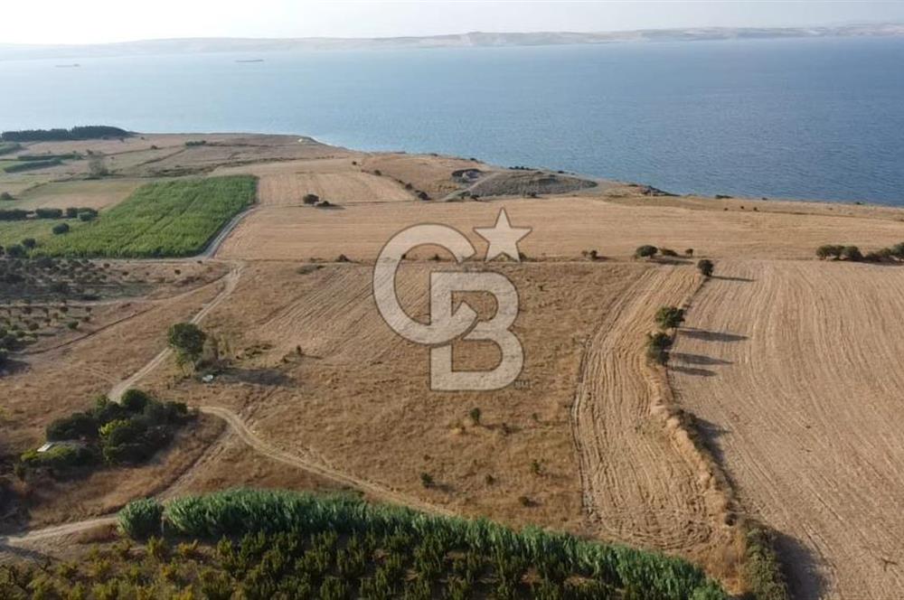 ÇANAKKALE LAPSEKİ ÇARDAK DOĞA VE DENİZ MANZARALI SATILIK ARSA