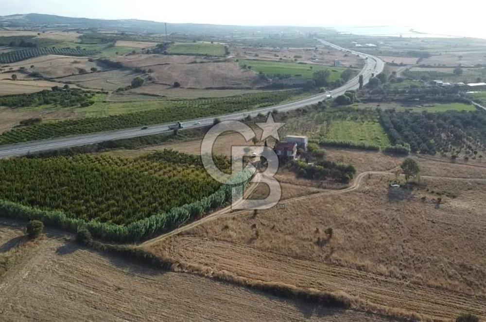 ÇANAKKALE LAPSEKİ ÇARDAK DOĞA VE DENİZ MANZARALI SATILIK ARSA