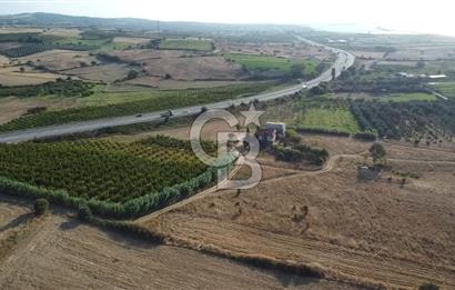 ÇANAKKALE LAPSEKİ ÇARDAK DOĞA VE DENİZ MANZARALI SATILIK ARSA