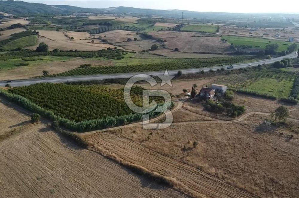 ÇANAKKALE LAPSEKİ ÇARDAK DOĞA VE DENİZ MANZARALI SATILIK ARSA