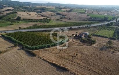 ÇANAKKALE LAPSEKİ ÇARDAK DOĞA VE DENİZ MANZARALI SATILIK ARSA