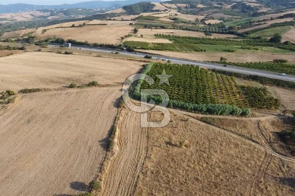 ÇANAKKALE LAPSEKİ ÇARDAK DOĞA VE DENİZ MANZARALI SATILIK ARSA