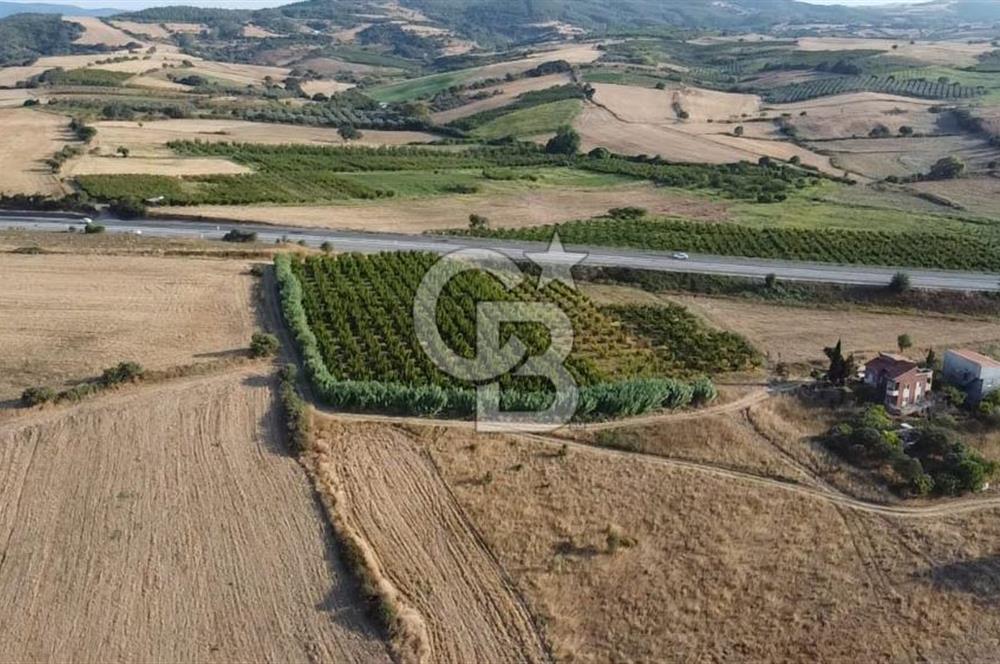 ÇANAKKALE LAPSEKİ ÇARDAK DOĞA VE DENİZ MANZARALI SATILIK ARSA