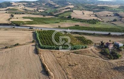 ÇANAKKALE LAPSEKİ ÇARDAK DOĞA VE DENİZ MANZARALI SATILIK ARSA