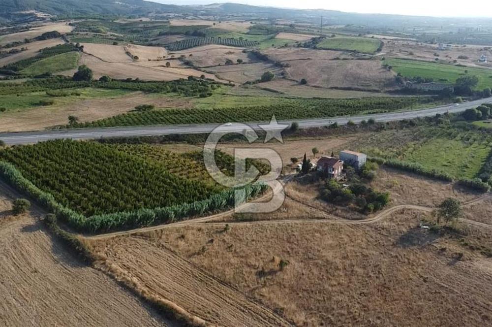 ÇANAKKALE LAPSEKİ ÇARDAK DOĞA VE DENİZ MANZARALI SATILIK ARSA