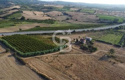 ÇANAKKALE LAPSEKİ ÇARDAK DOĞA VE DENİZ MANZARALI SATILIK ARSA