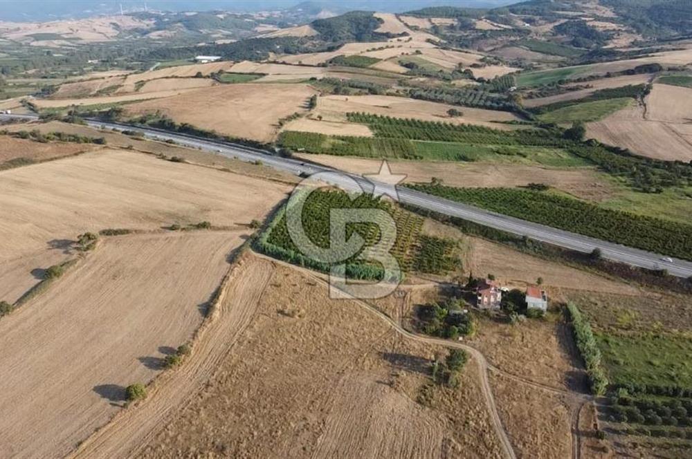 ÇANAKKALE LAPSEKİ ÇARDAK DOĞA VE DENİZ MANZARALI SATILIK ARSA