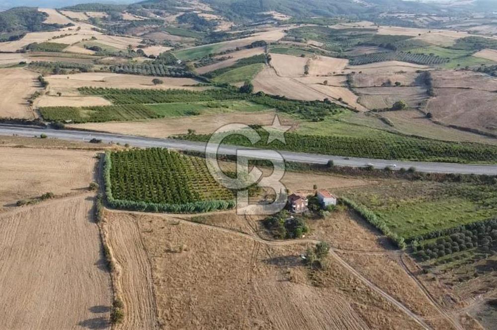 ÇANAKKALE LAPSEKİ ÇARDAK DOĞA VE DENİZ MANZARALI SATILIK ARSA