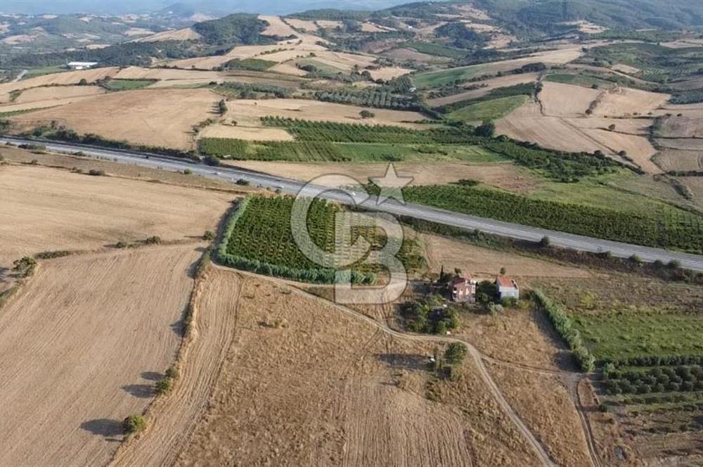 ÇANAKKALE LAPSEKİ ÇARDAK DOĞA VE DENİZ MANZARALI SATILIK ARSA