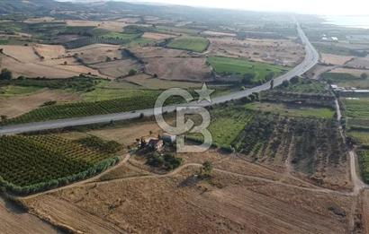 ÇANAKKALE LAPSEKİ ÇARDAK DOĞA VE DENİZ MANZARALI SATILIK ARSA