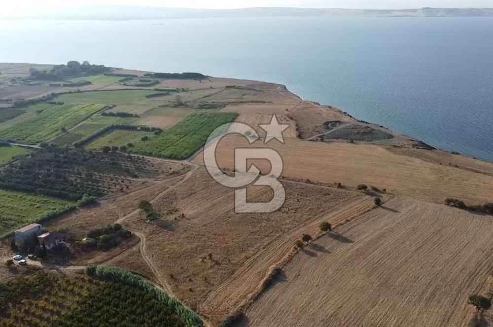 ÇANAKKALE LAPSEKİ ÇARDAK DOĞA VE DENİZ MANZARALI SATILIK ARSA