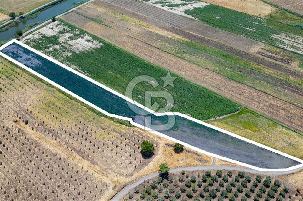 Bağarası Çelebi Mevkiinde Satılık Tek Tapu Tarla