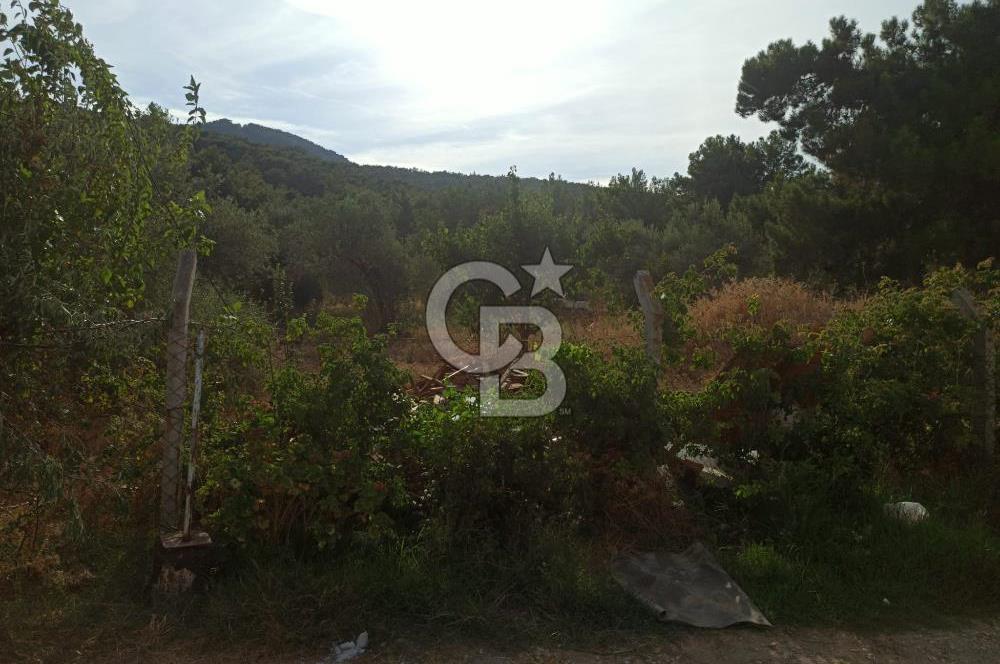 Çeşmealtın'da Kiralık daire