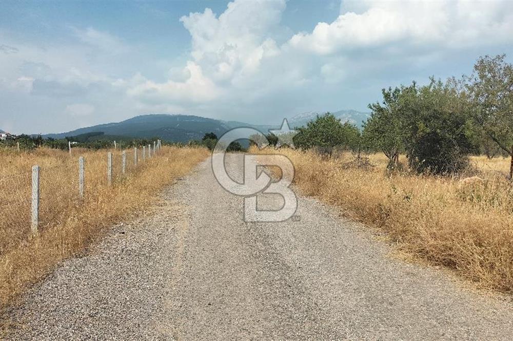 Belenbaşı Merkezine Çok Yakın Resmi Tapulu Hisseli Arazi