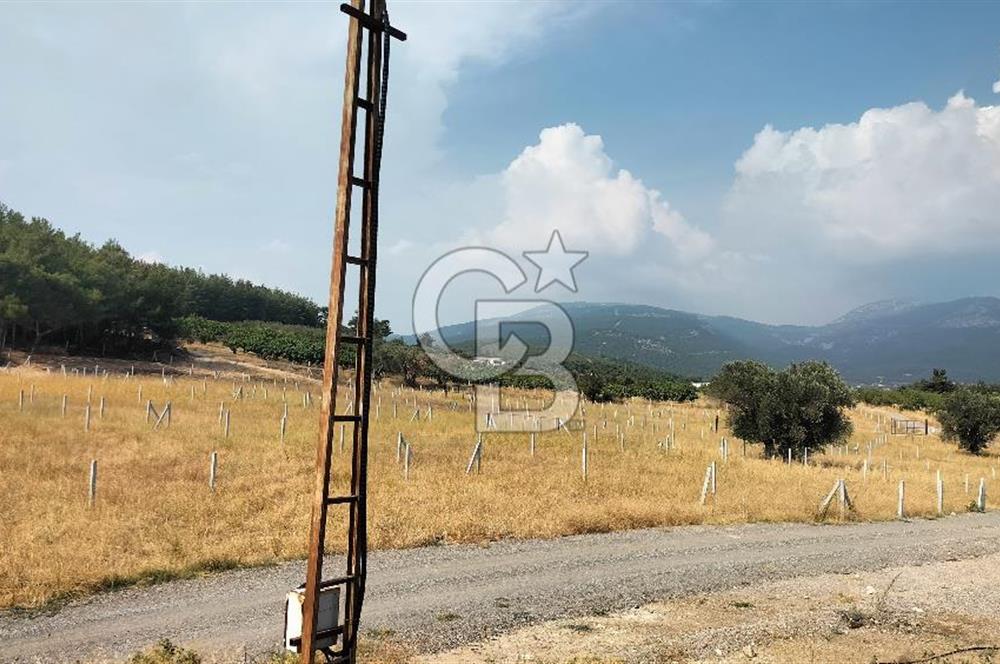 Belenbaşı Merkezine Çok Yakın Resmi Tapulu Hisseli Arazi