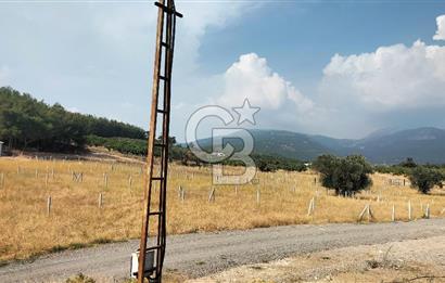 Belenbaşı Merkezine Çok Yakın Resmi Tapulu Hisseli Arazi