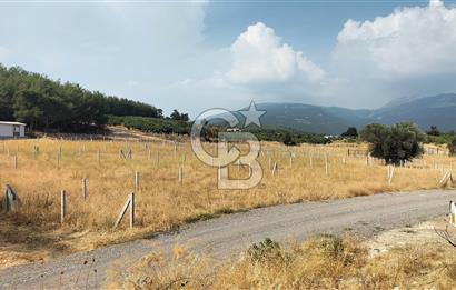 Belenbaşı Merkezine Çok Yakın Resmi Tapulu Hisseli Arazi