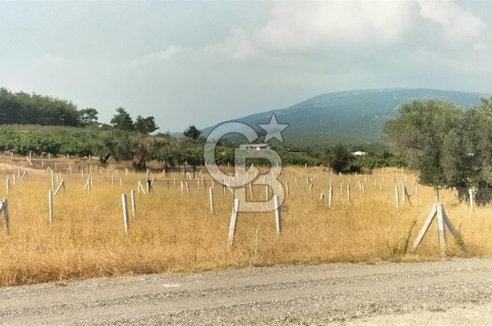 Belenbaşı Merkezine Çok Yakın Resmi Tapulu Hisseli Arazi