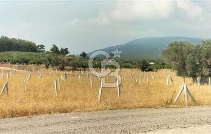 Belenbaşı Merkezine Çok Yakın Resmi Tapulu Hisseli Arazi