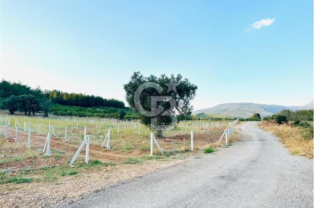 Belenbaşı Merkezine Çok Yakın Resmi Tapulu Hisseli Arazi