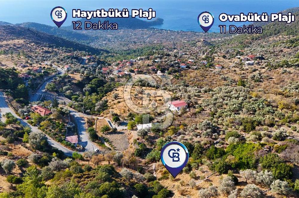 Datça Mesudiye'de Panaromik Deniz Manzaralı Zeytinlik..