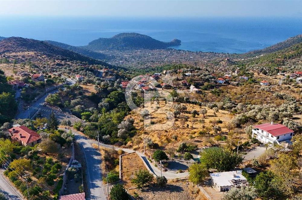 Datça, Mesudiye'de Full Deniz Manzaralı Yatırımlık Tarla..