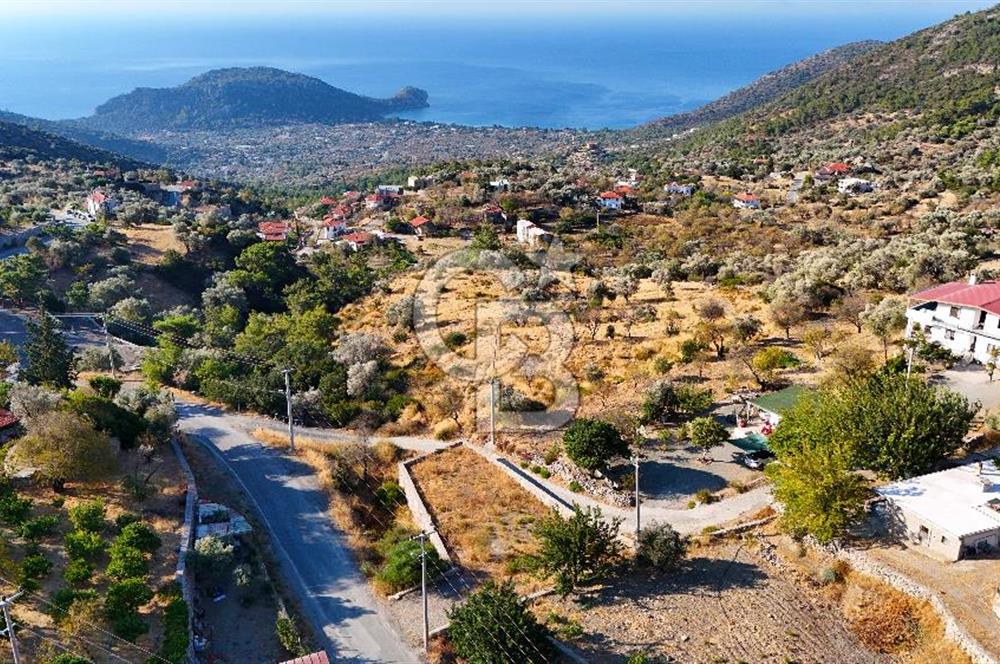 Datça, Mesudiye'de Full Deniz Manzaralı Yatırımlık Tarla..