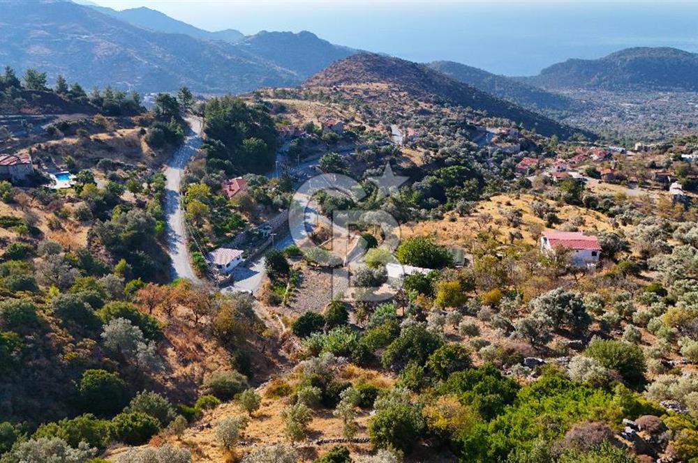 Datça Mesudiye'de Panaromik Deniz Manzaralı Zeytinlik..