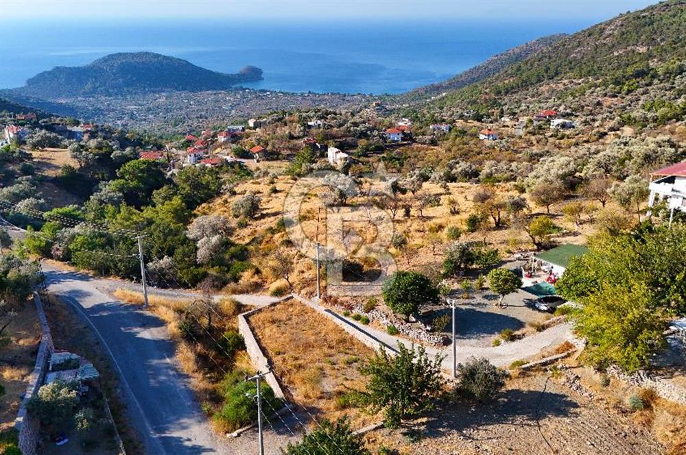 Datça, Mesudiye'de Full Deniz Manzaralı Yatırımlık Tarla..