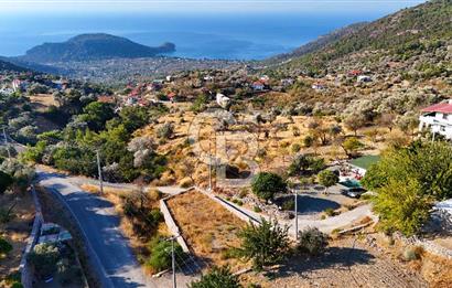 Datça, Mesudiye'de Full Deniz Manzaralı Yatırımlık Tarla..