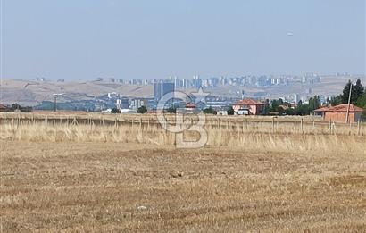 ANKARA AKYURT TEK TAPU SATILIK TARLA