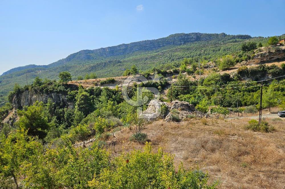 Mersin Yenişehir Turunçlu da Satılık Tarla 