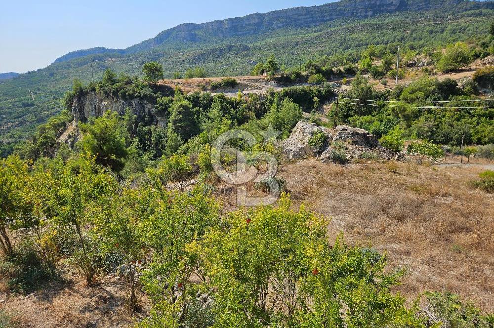 Mersin Yenişehir Turunçlu da Satılık Tarla 