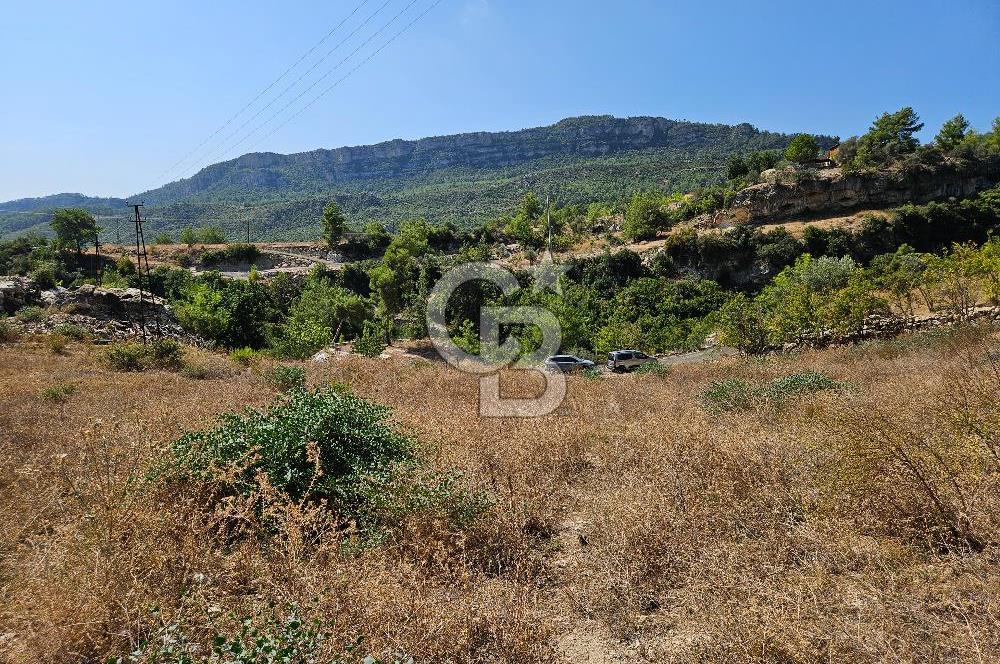 Mersin Yenişehir Turunçlu da Satılık Tarla 