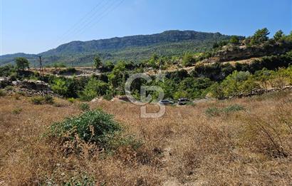 Mersin Yenişehir Turunçlu da Satılık Tarla 