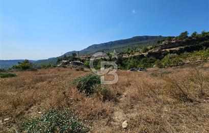 Mersin Yenişehir Turunçlu da Satılık Tarla 