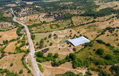 ÇANAKKALE AYVACIK AHMETÇE DE ANAYOLA CEPHELİ SATILIK İMARLI ARSA