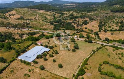 ÇANAKKALE AYVACIK AHMETÇE DE ANAYOLA CEPHELİ SATILIK İMARLI ARSA