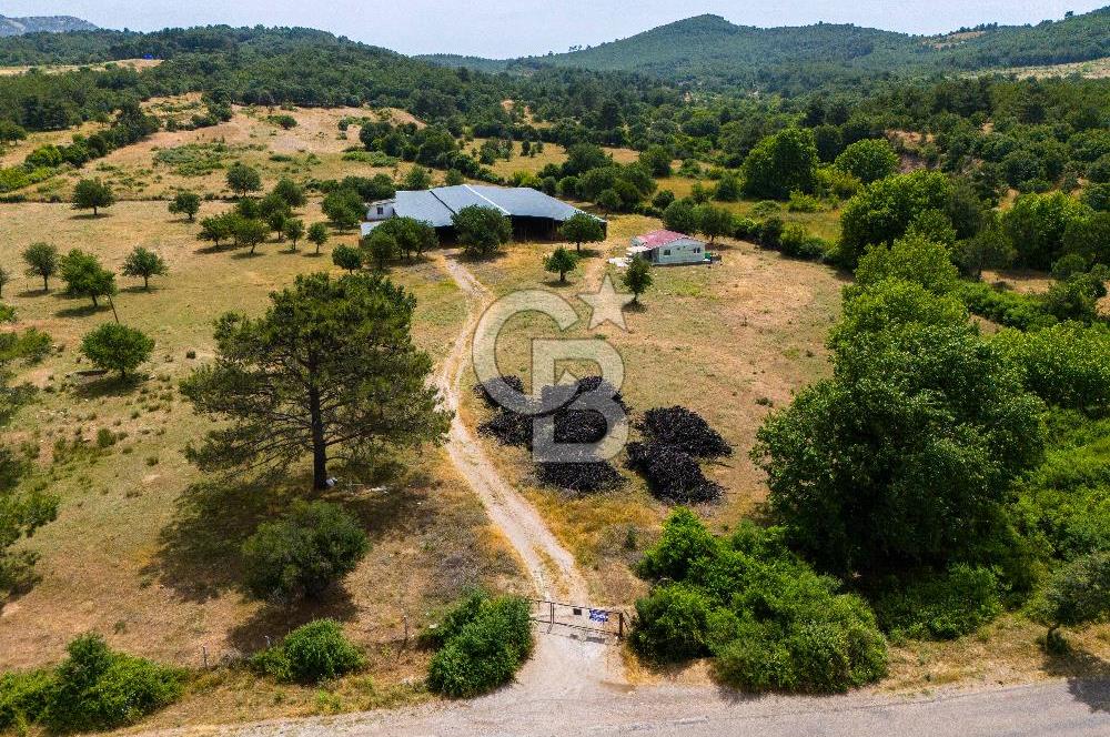 ÇANAKKALE AYVACIK AHMETÇE DE ANAYOLA CEPHELİ SATILIK İMARLI ARSA