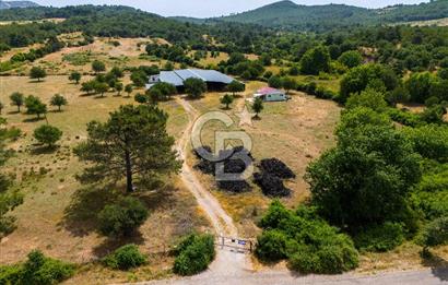 ÇANAKKALE AYVACIK AHMETÇE DE ANAYOLA CEPHELİ SATILIK İMARLI ARSA