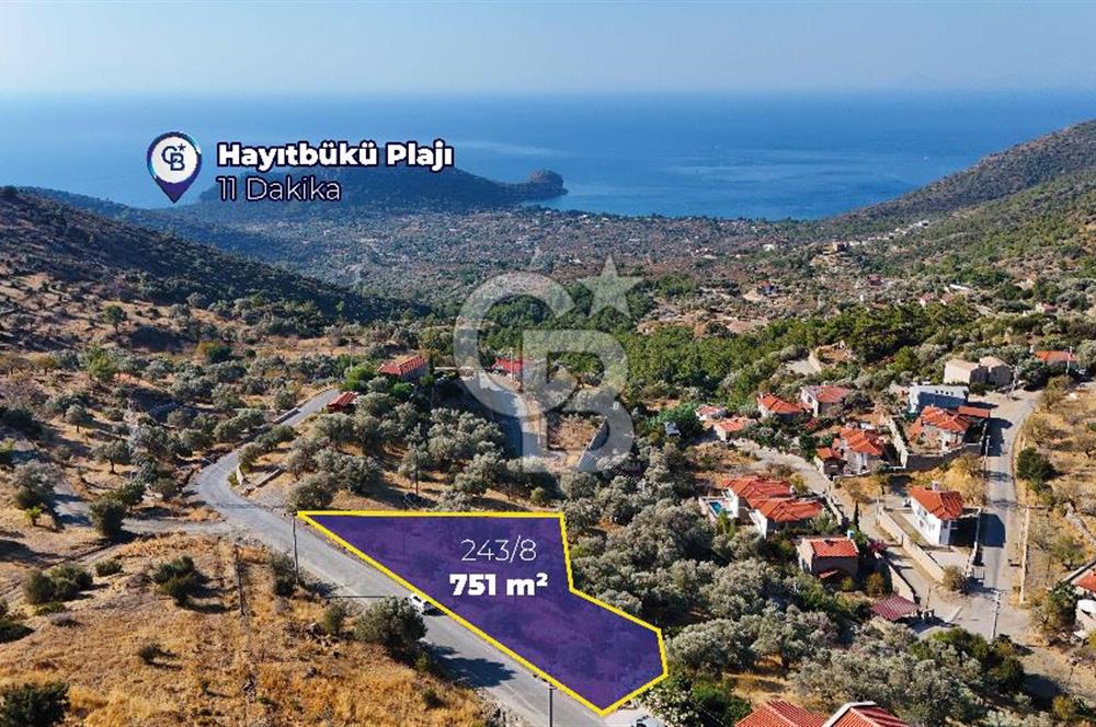 Datça Mesudiye'de Yolu Olan, Deniz Manzaralı Zeytinlik..