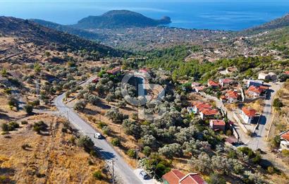 Datça Mesudiye'de Yolu Olan, Deniz Manzaralı Zeytinlik..